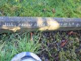 image of grave number 623047